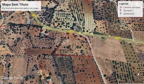 Rustic land with 14240 m2 with little slope. It is located very close to Paderne, has a paved road and electricity nearby. There are mainly scattered carob and olive trees on the land.