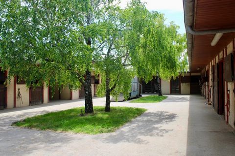 photo no. 5
