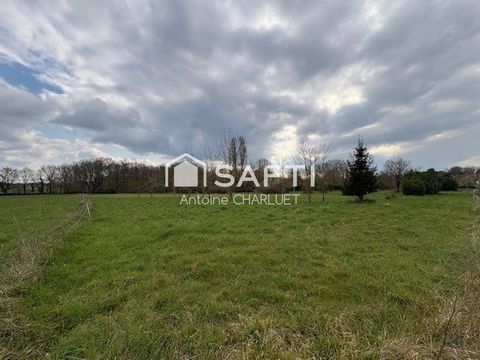 photo no. 15