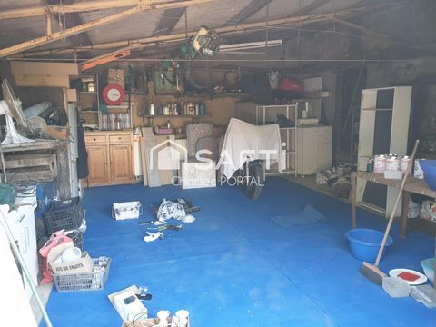 photo no. 12