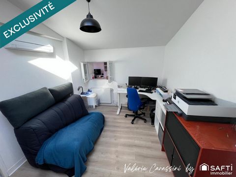 photo no. 11