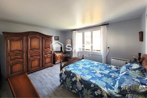 photo no. 11