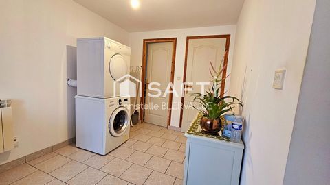 photo no. 15