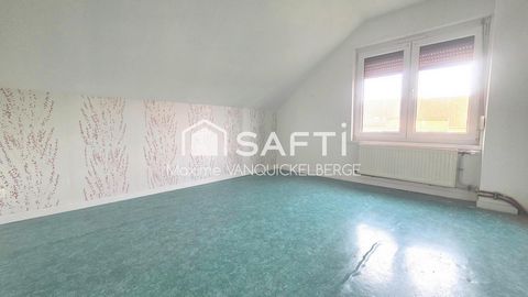 photo no. 6