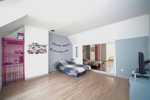 photo no. 7