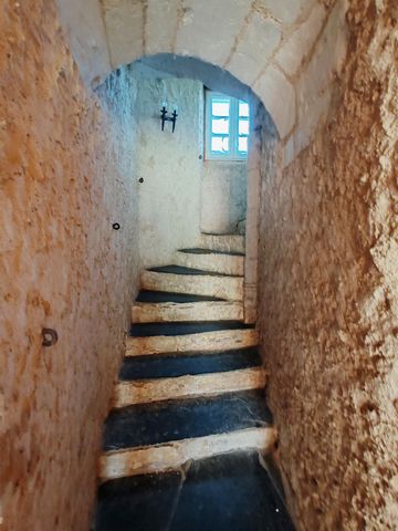 photo no. 6
