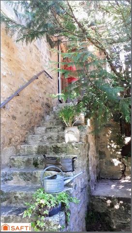 photo no. 11