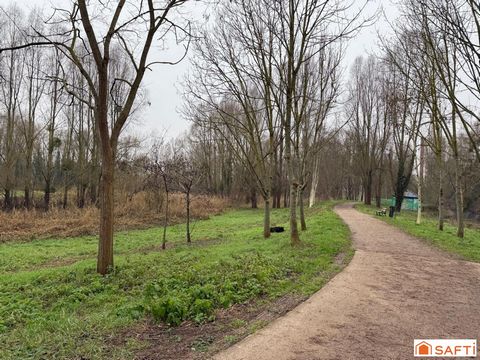 photo no. 13