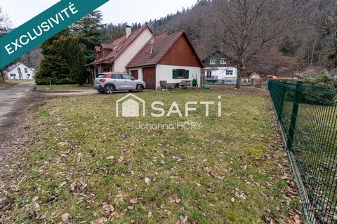 photo no. 14
