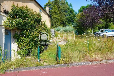 photo no. 12
