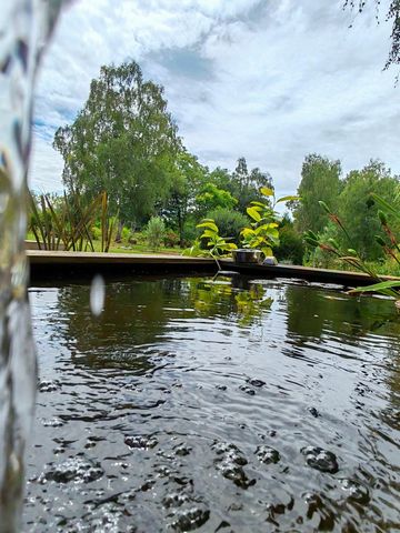 photo no. 12