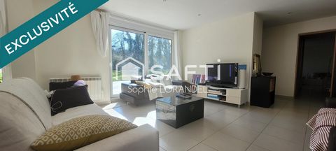 photo no. 2
