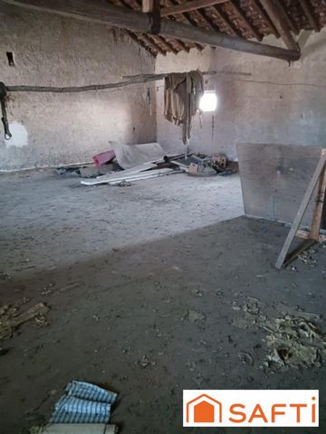 photo no. 5