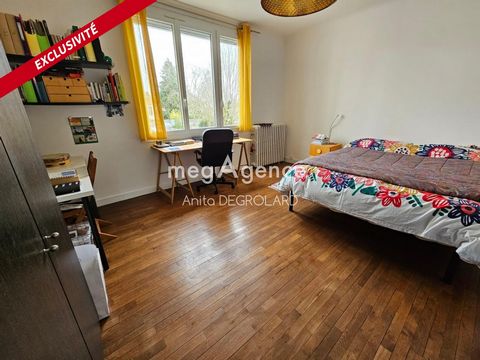 photo no. 6