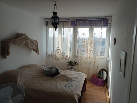 photo no. 3