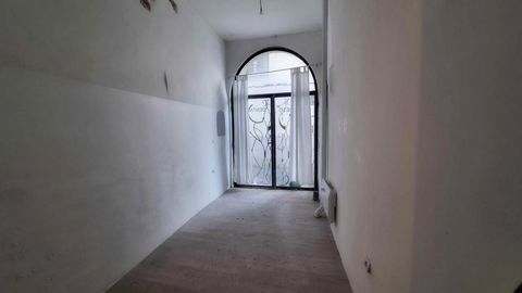 photo no. 6