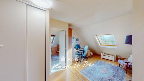 photo no. 11