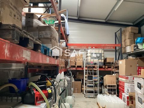 photo no. 11