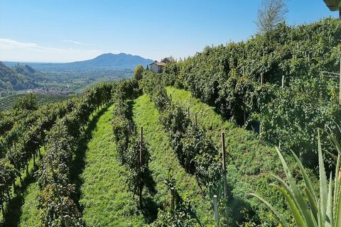 Situata nel cuore della famosa regione del Prosecco in Veneto, questa affascinante casa vacanze offre un appartamento moderno e spazioso, progettato per un soggiorno confortevole e rilassante. Ideale per coppie o piccole famiglie, l'appartamento disp...