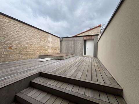 photo no. 8