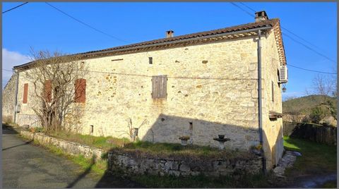 photo no. 3