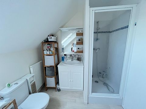 photo no. 4