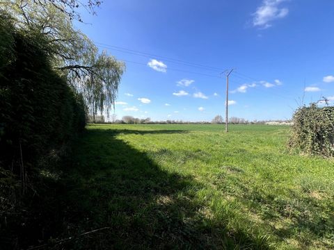 photo no. 2