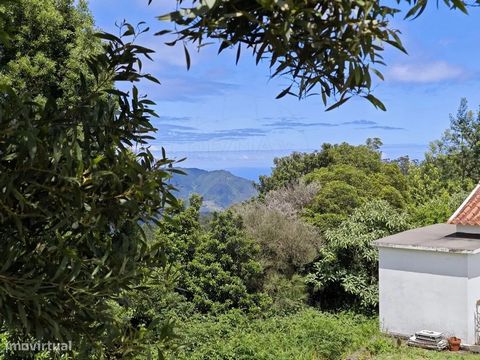 Terreno para venda no Santo António da Serra: Excelente terreno para investimento ou para Casa de Campo; Vista para o vale de Machico; Possibilidade de edificar moradia isolada ou 2 geminadas até 300m2 para Habitação; Definido como 