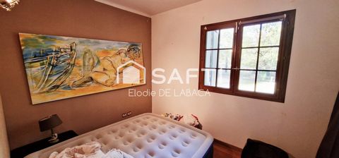 photo no. 12