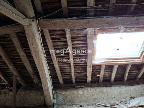 photo no. 11