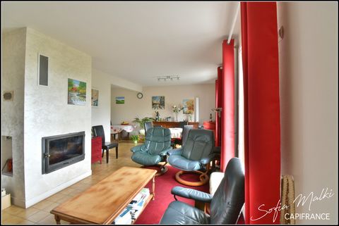 photo no. 2