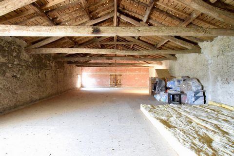photo no. 17