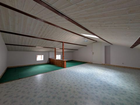 photo no. 4