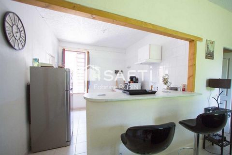 photo no. 13