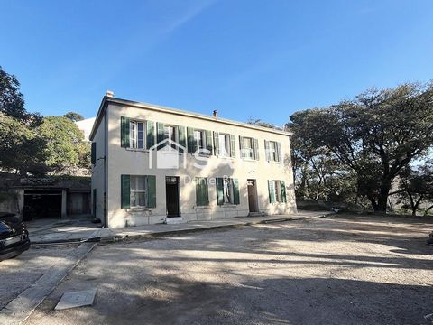 photo no. 14