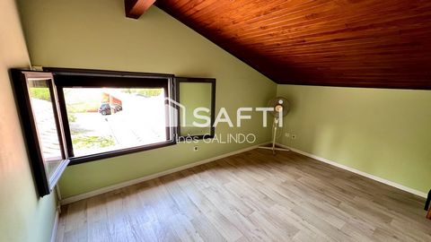photo no. 11