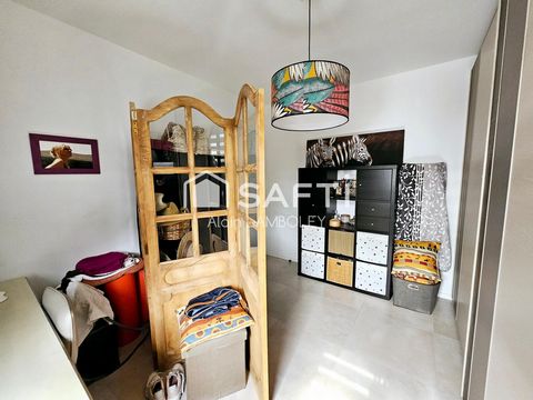 photo no. 11