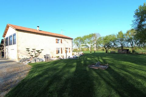photo no. 13