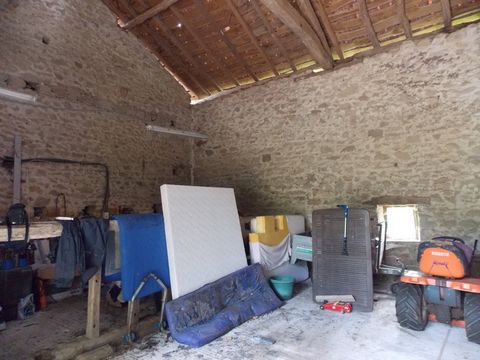 photo no. 16