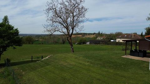 photo no. 13
