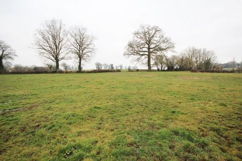 photo no. 2