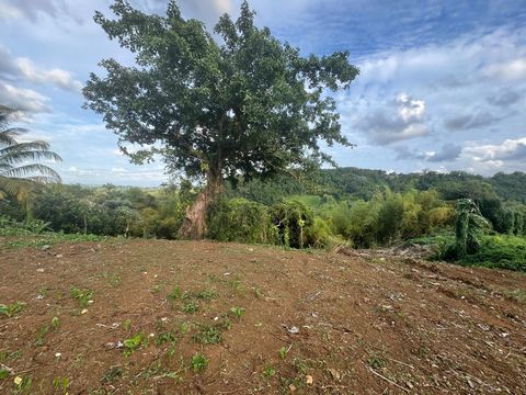 Discover this exceptional program in Petit-bourg and take advantage of the opportunity to buy a beautiful villa under construction! Quality real estate investment with this house accompanied by 3 bedrooms and a large pleasant and sunny terrace on the...