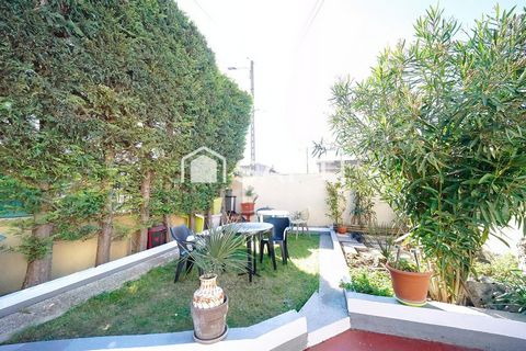 photo no. 12