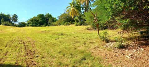 Sainte-Anne (971), à vendre 4400m²terrain constructible