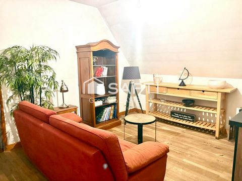 photo no. 16