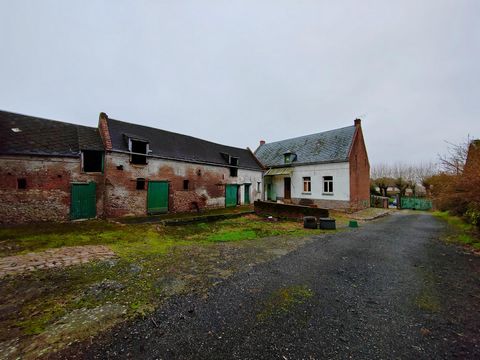 photo no. 1