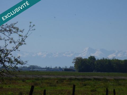 photo no. 1