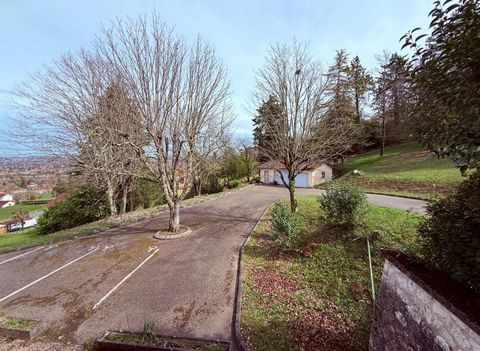 photo no. 19