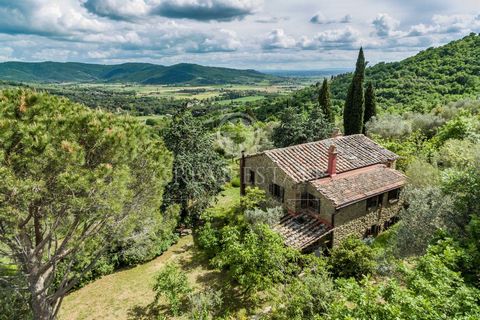 This farmhouse covers a gross habitable area of about 150sqm on two levels: at ground floor, the entranceway leads us to a bright room connected through an arch to the living room and the dining room; from here, a large opening and a comfortable ston...