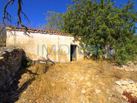 Magnificent land with 1 hectare composed of a ruin to recover, located in Vale Pegas - Paderne, a village belonging to the municipality of Albufeira. The land contains some fruit trees such as carob trees, fig trees, olive trees, almond trees, among ...